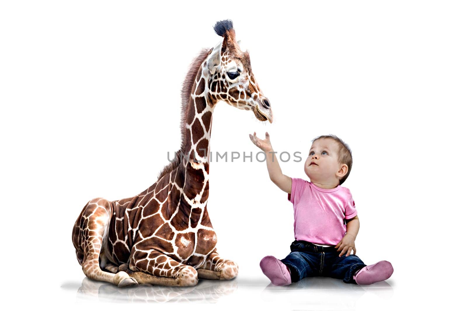 Giraffe child and human child
