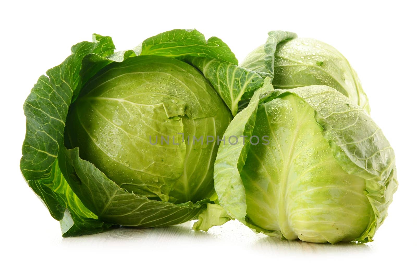 Cabbage isolated on white