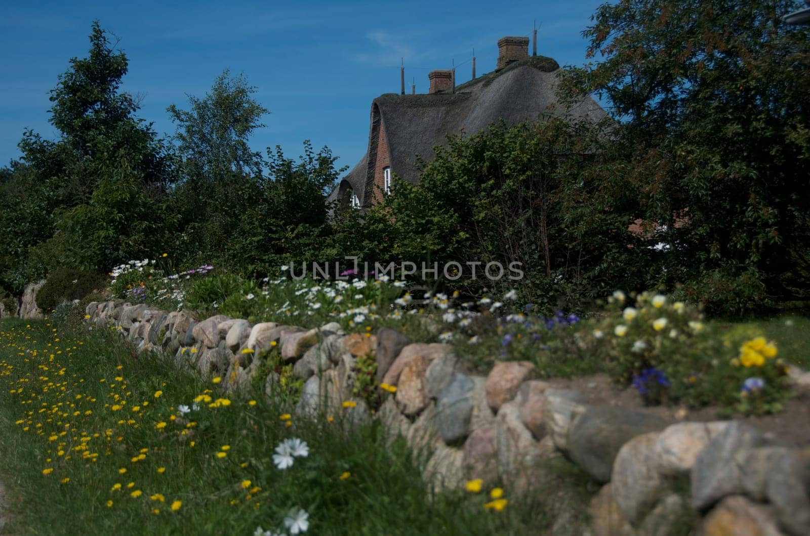 private thatched-roof house with garden on the island of Amrum, Germany