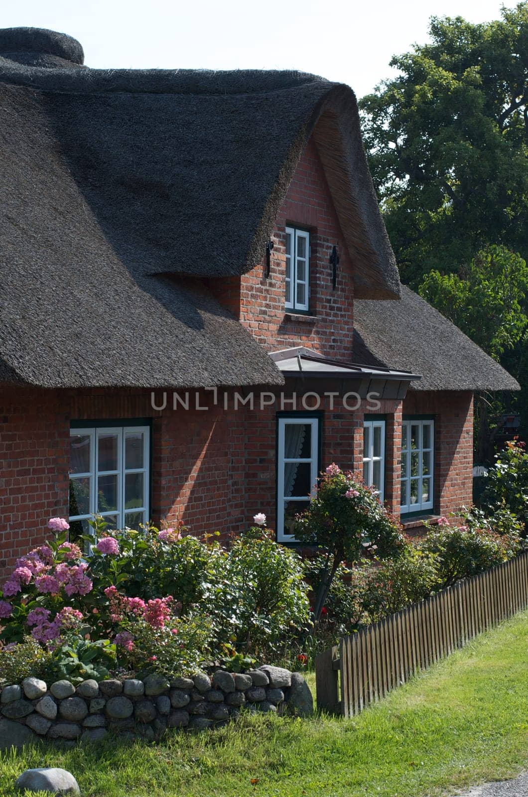 traditional frisian house with thatched roof on the island of Amrum