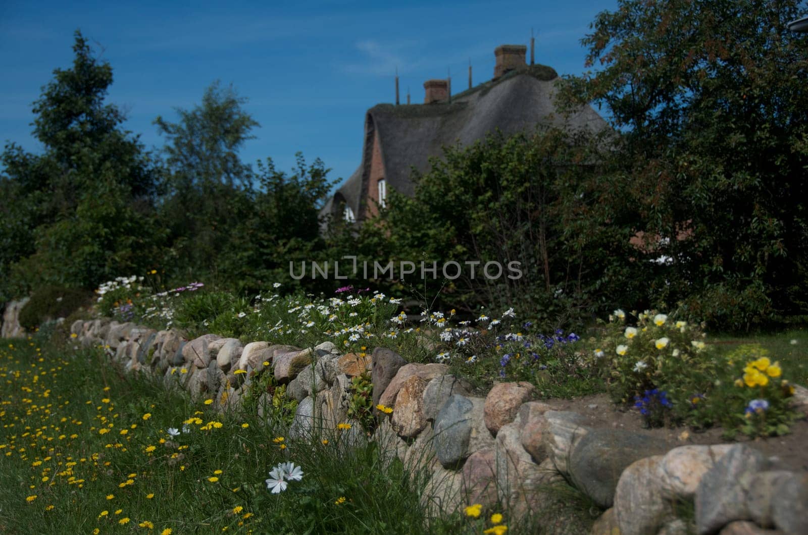 private thatched-roof house with garden on the island of Amrum, Germany