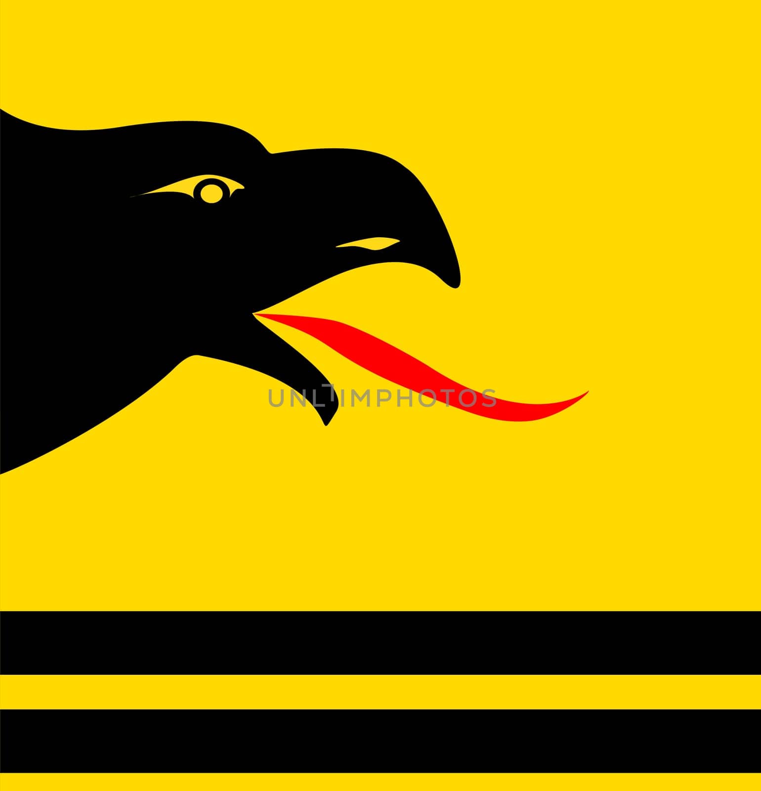 The eagle over the earth