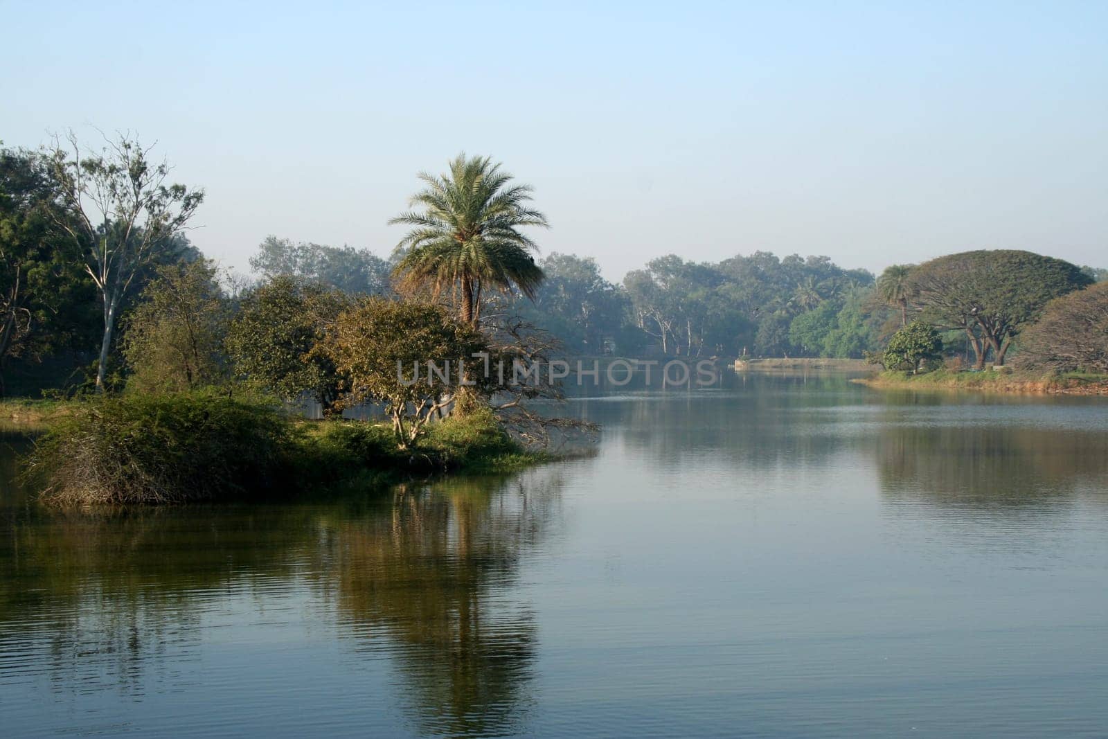 Pleasing green canopy on trees in and around the lake
