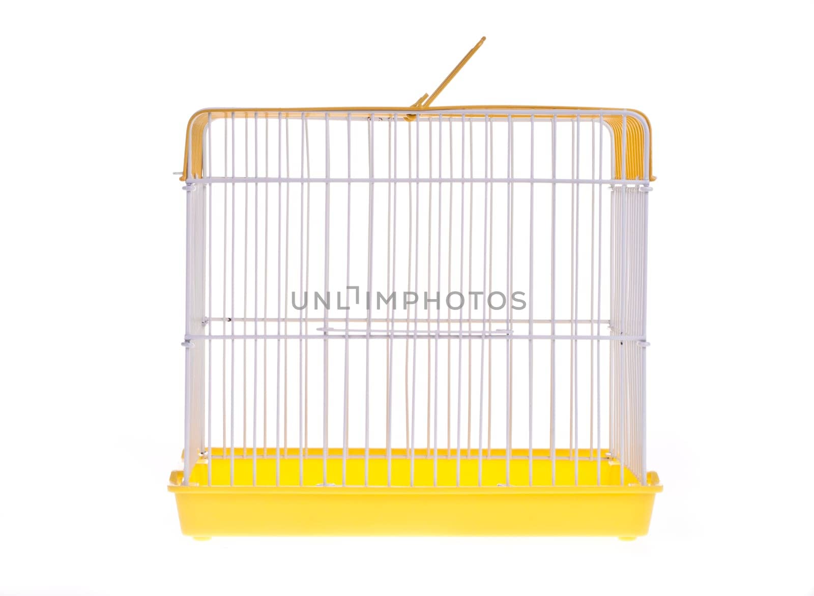 Empty golden bird cage  isolated on white