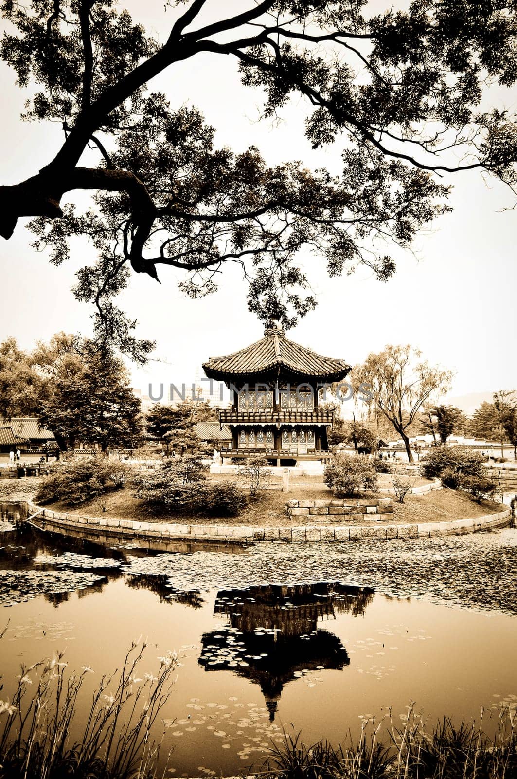A chinese pagoda in a beautiful park in the city of Seoul, Korea