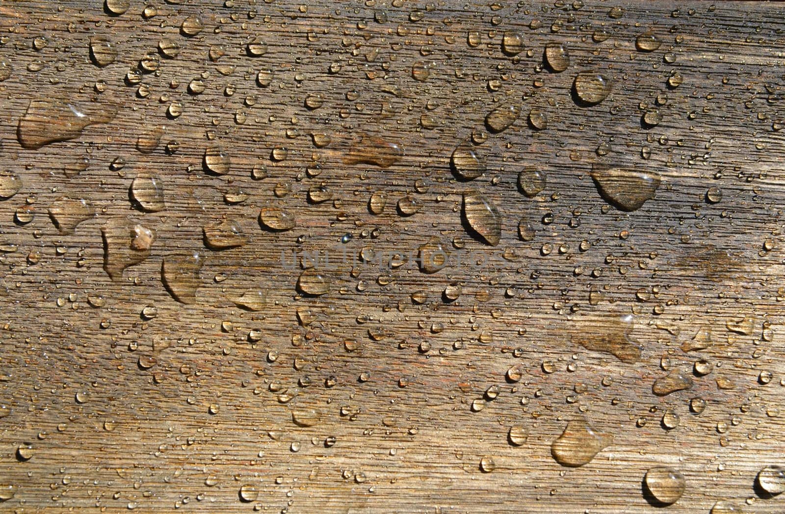 Water Drop on Wooden Board