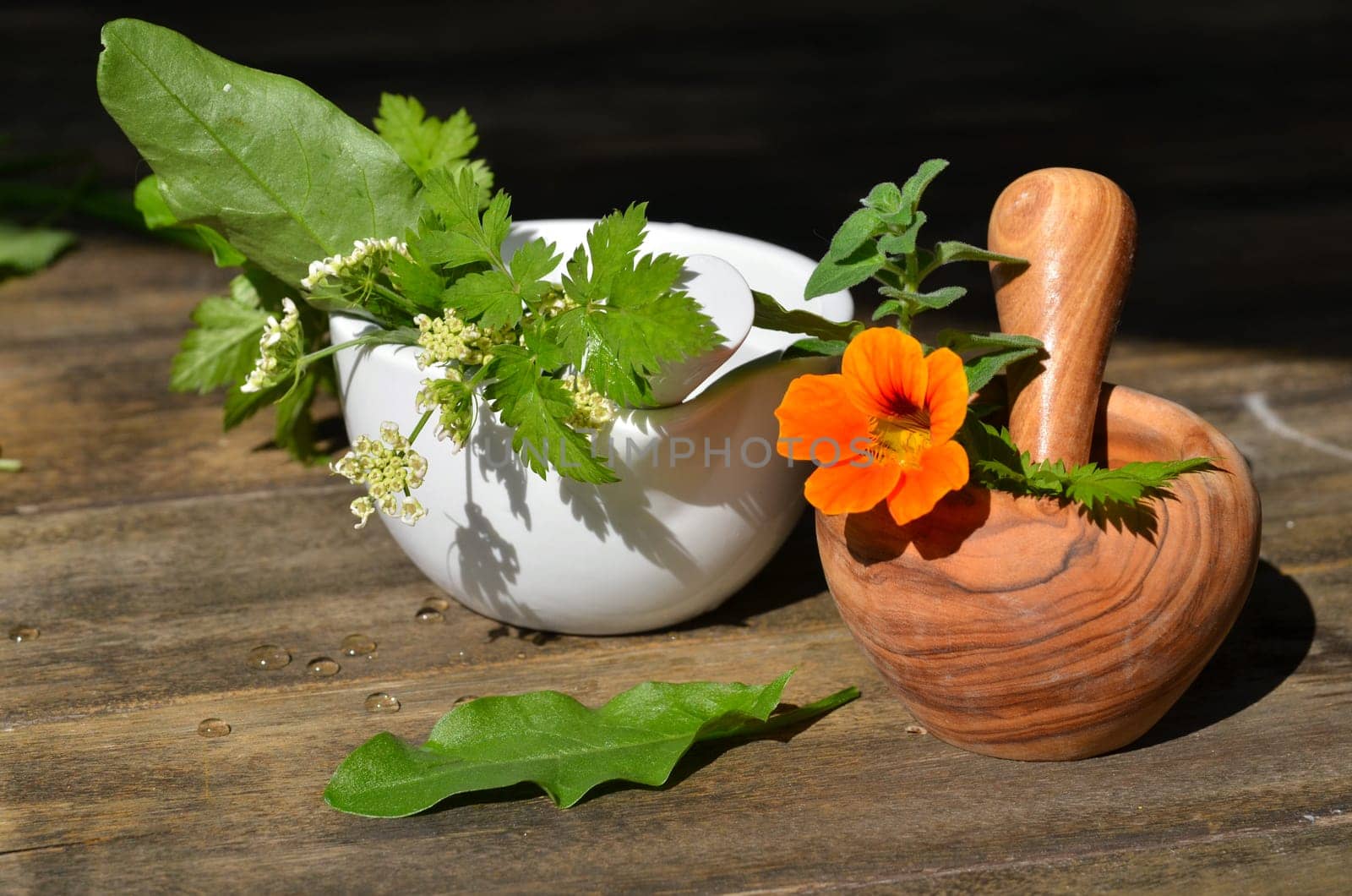 Herb Mortar Fresh Leaves