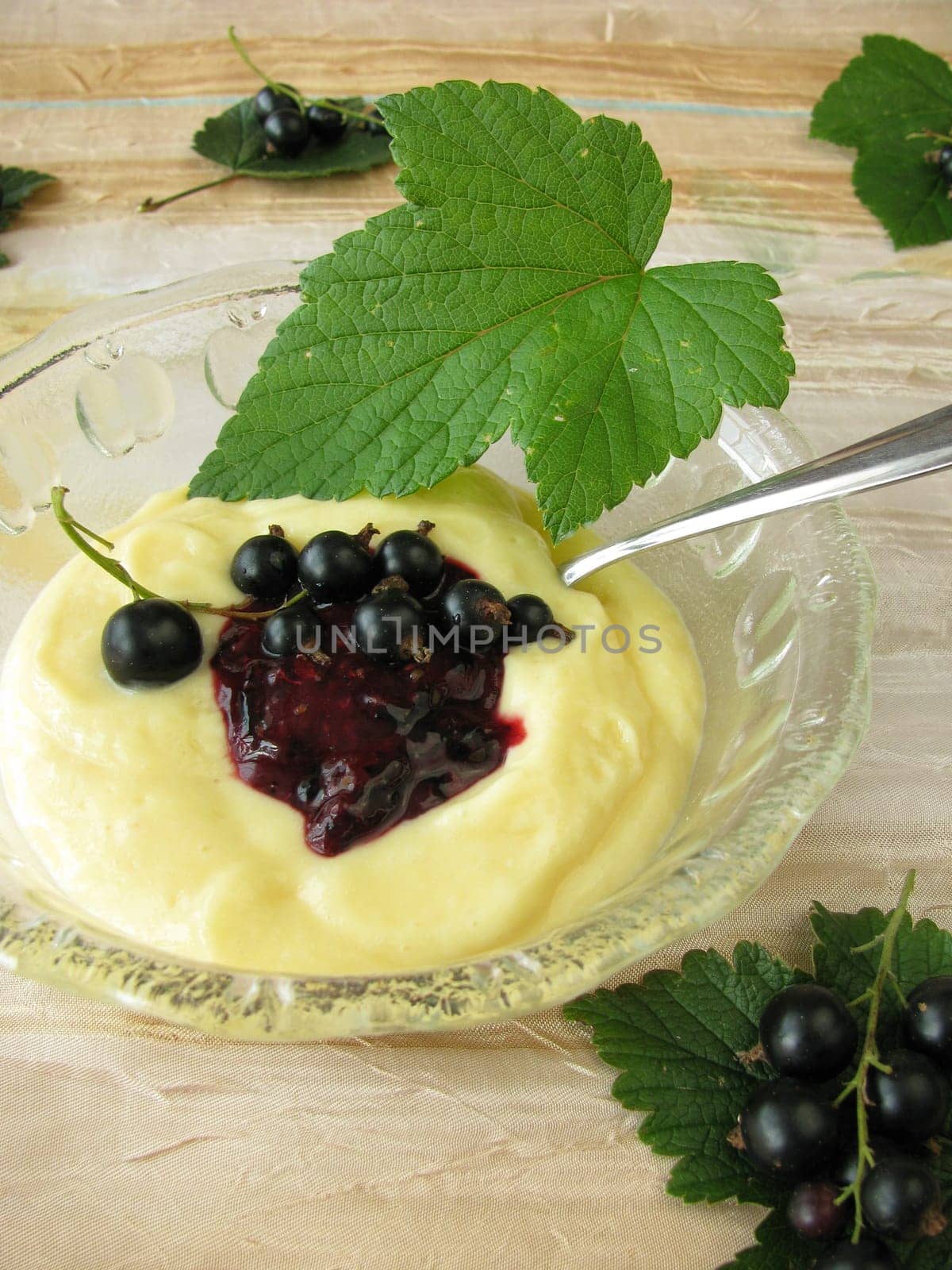 Vanilla cream with currant sauce