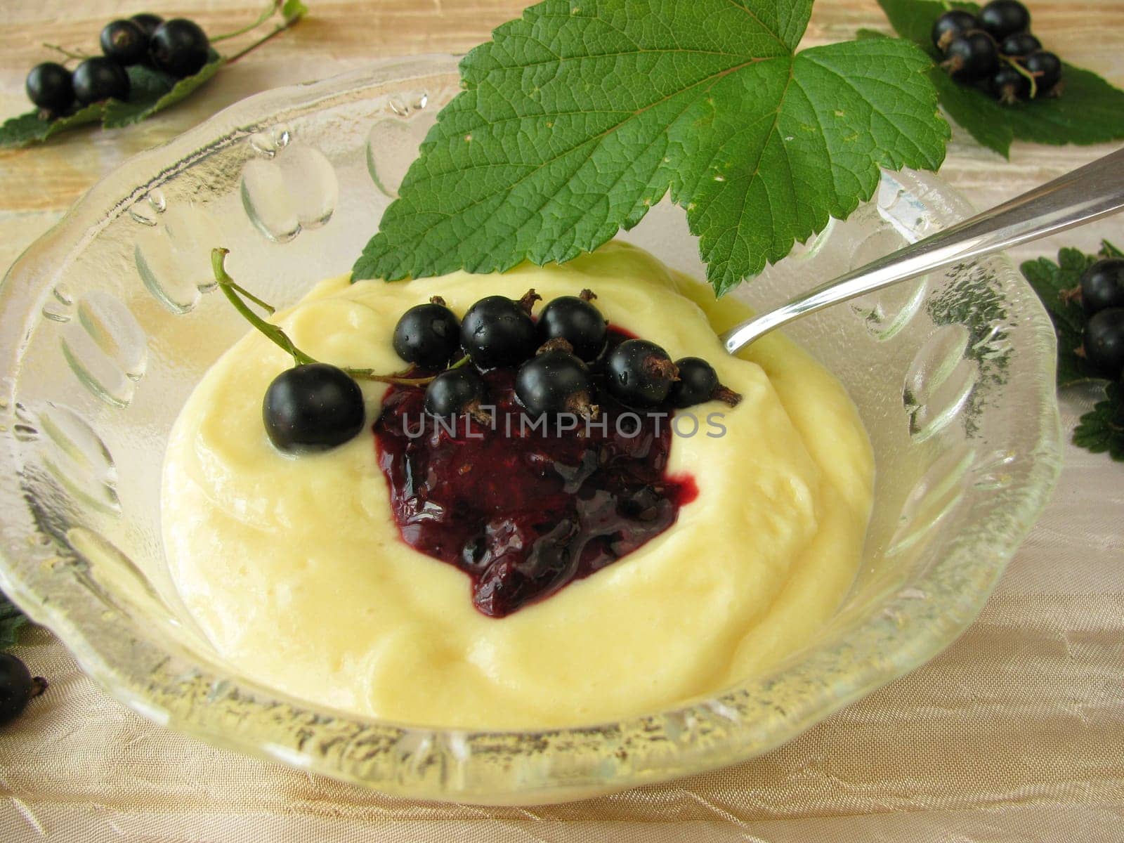 Vanilla cream with currant sauce