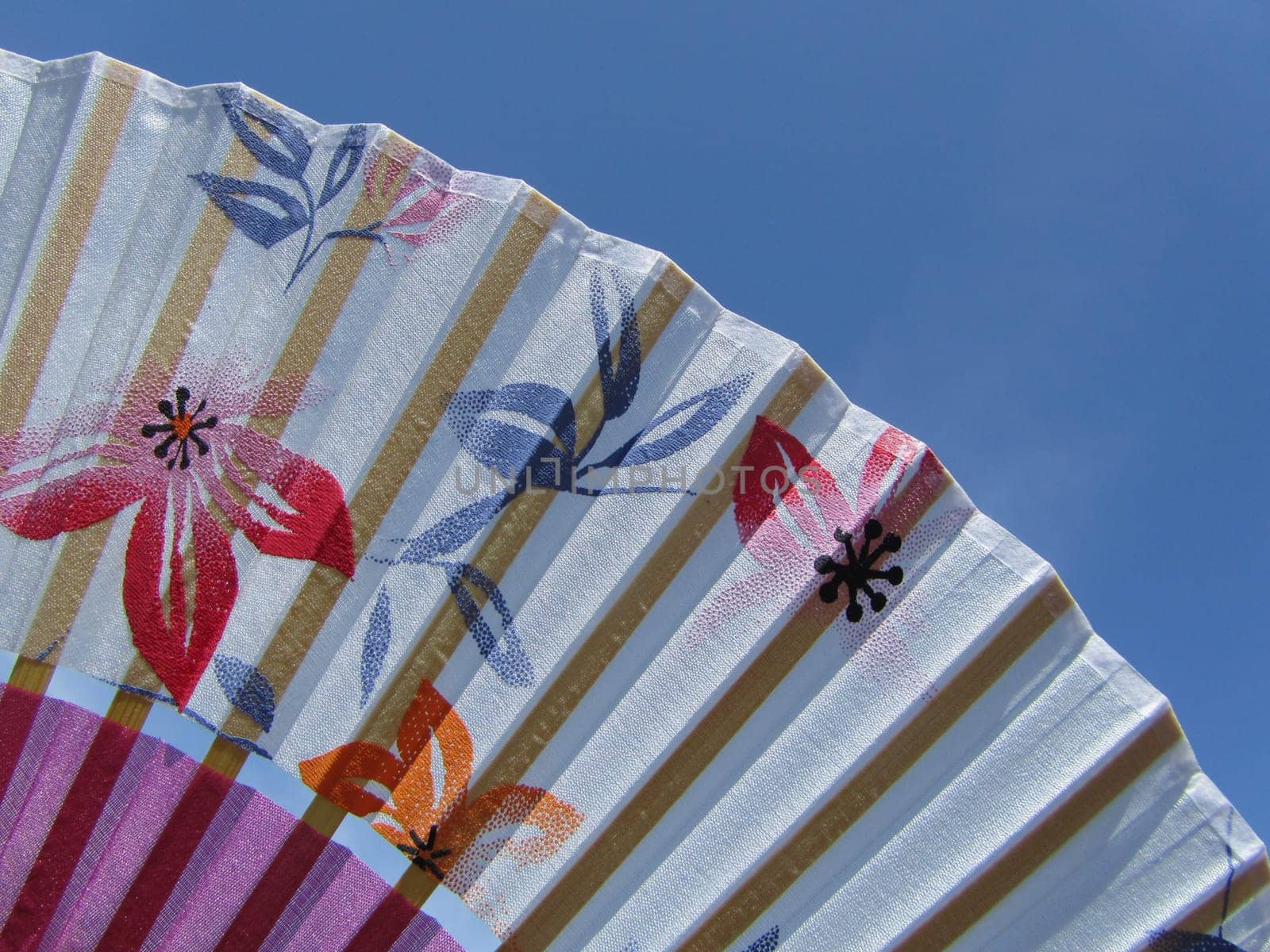 Chinese Silk Fan