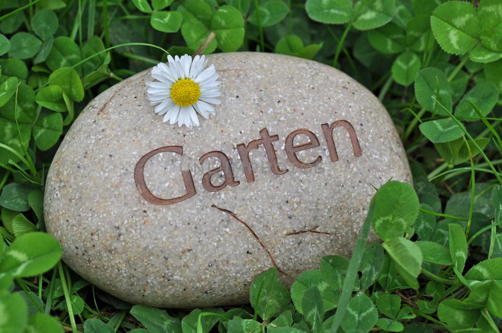 garden lawn flowers
