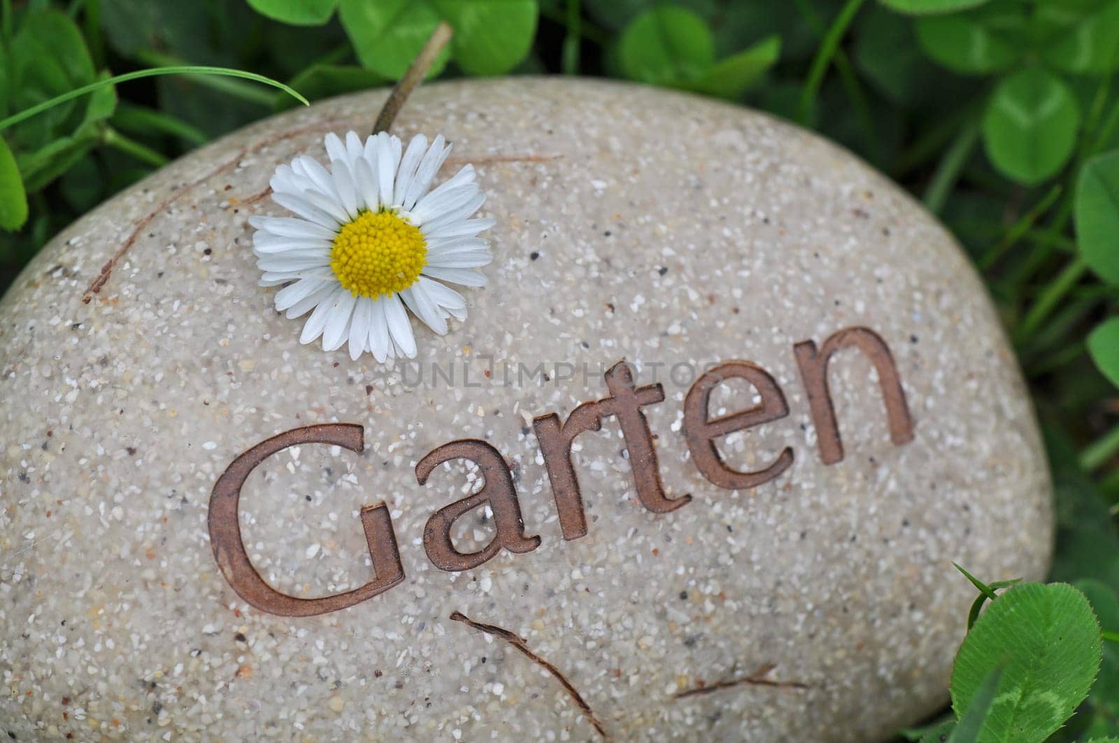 garden lawn flowers