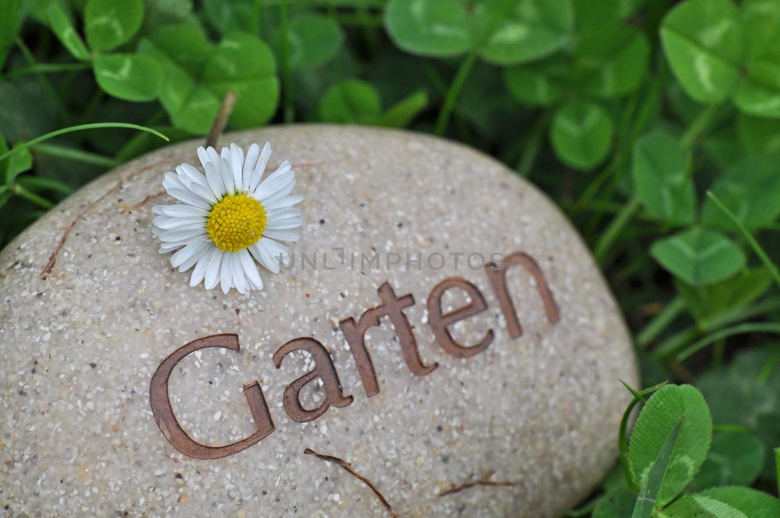 garden lawn flowers