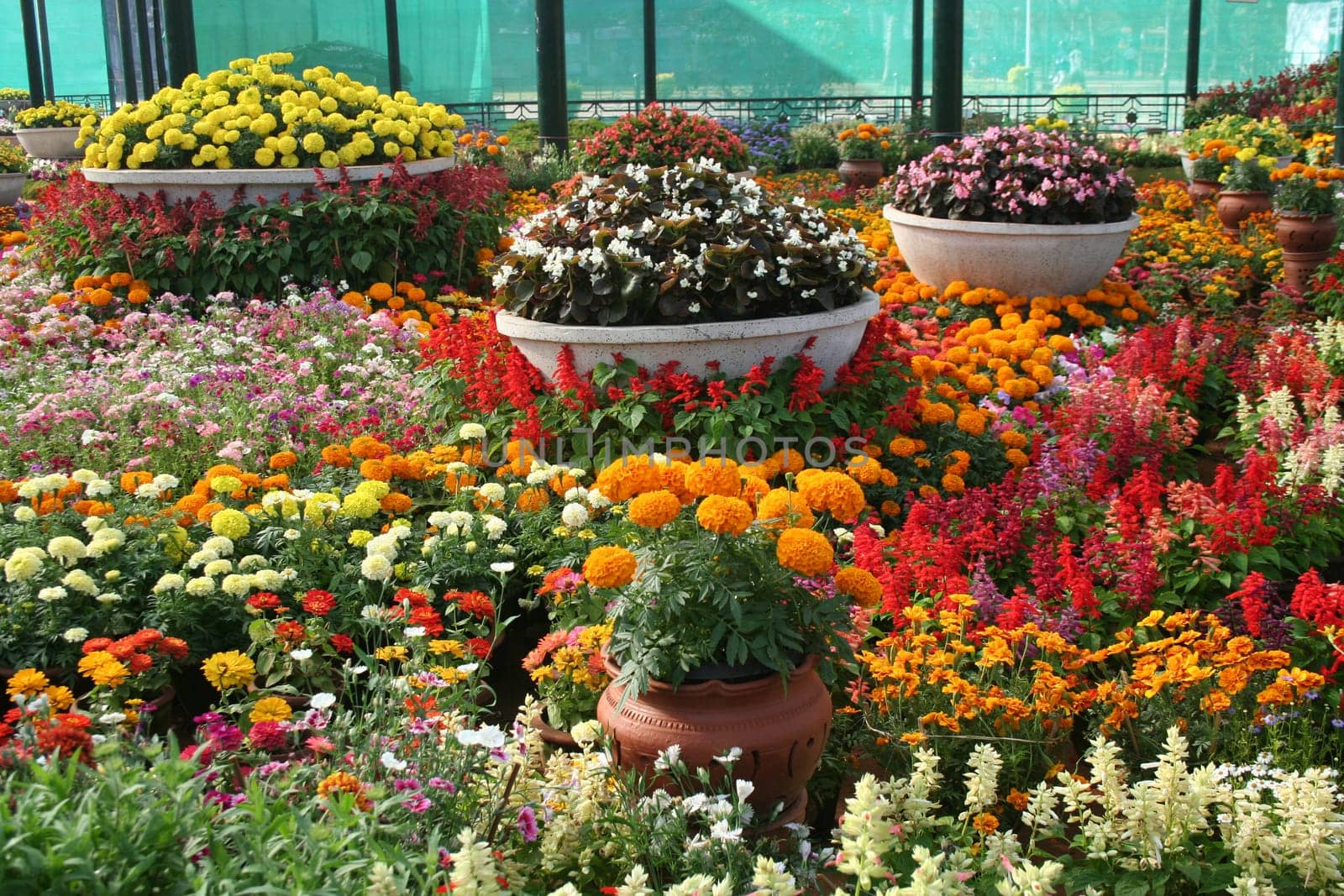 Beautifully arranged, colourful/ colorful Flower Show