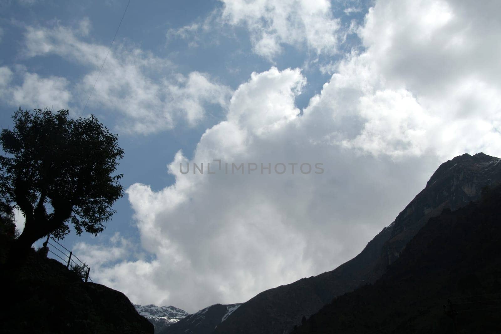 Tree and mountain silhouetted against bright clouds