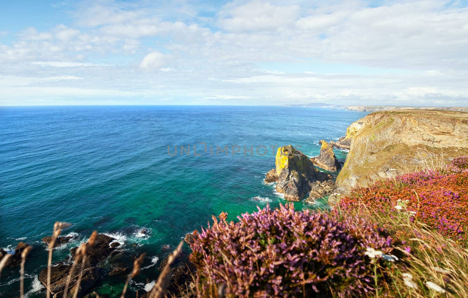 Landscape from Cornwall. Ocean or sea with cliffs and heather. Scenic and tranquil view of the coastline by Hells Mouth