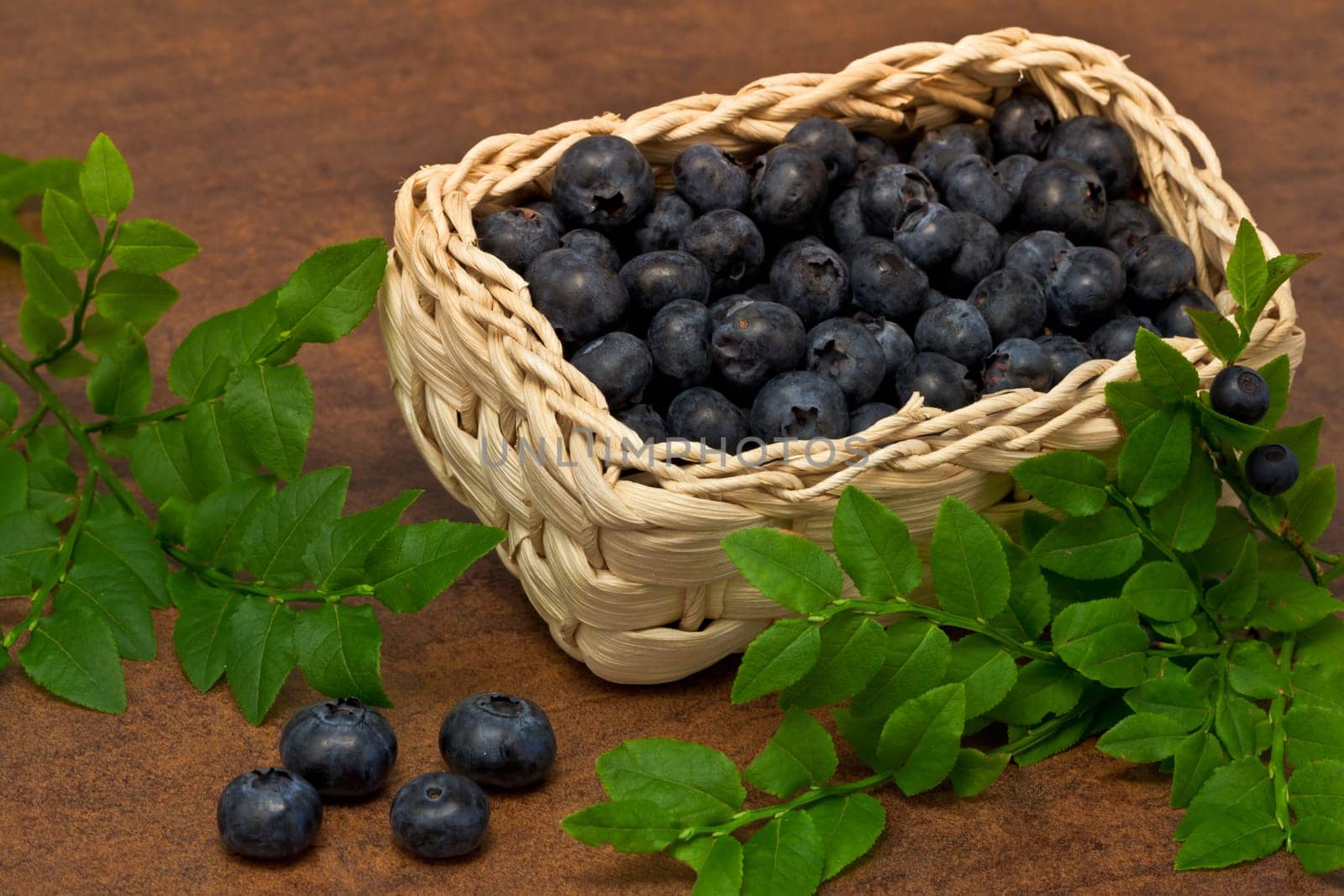 Blueberries - blueberries ...
