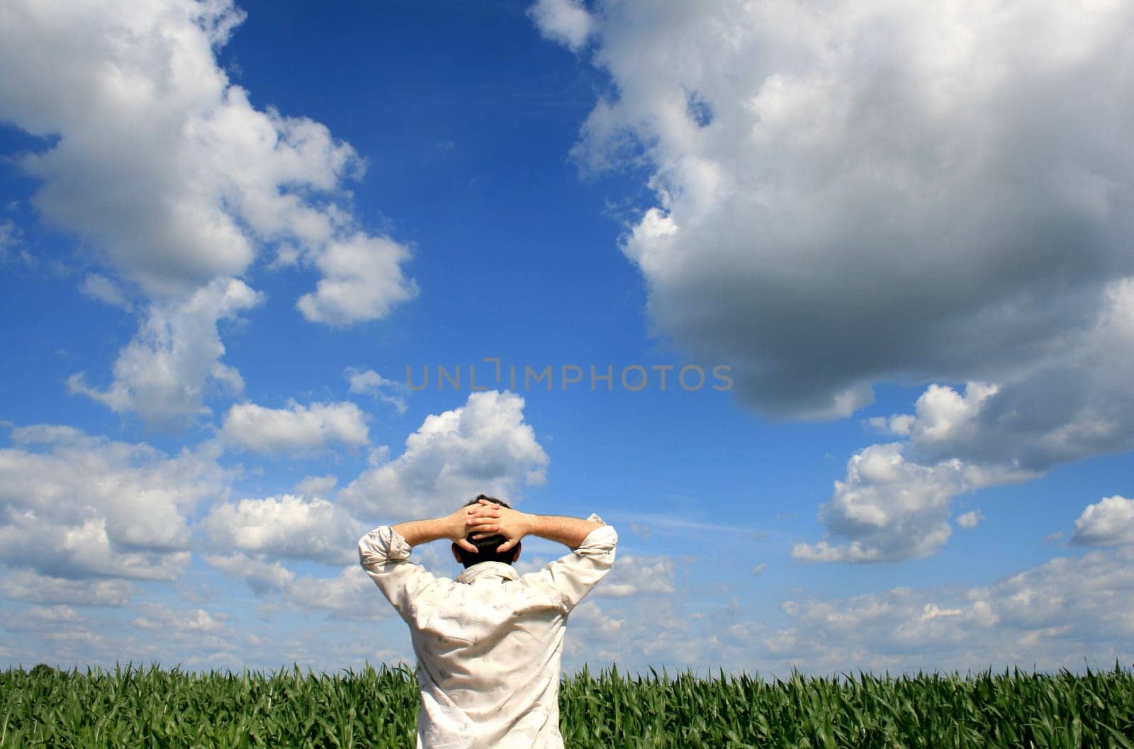 summer without food