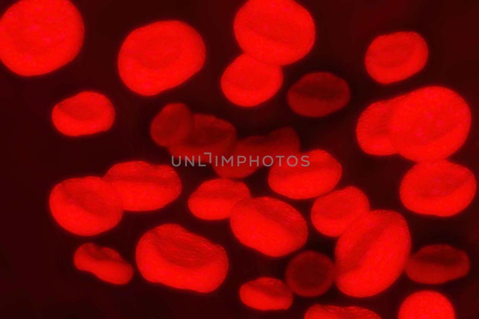 Blood