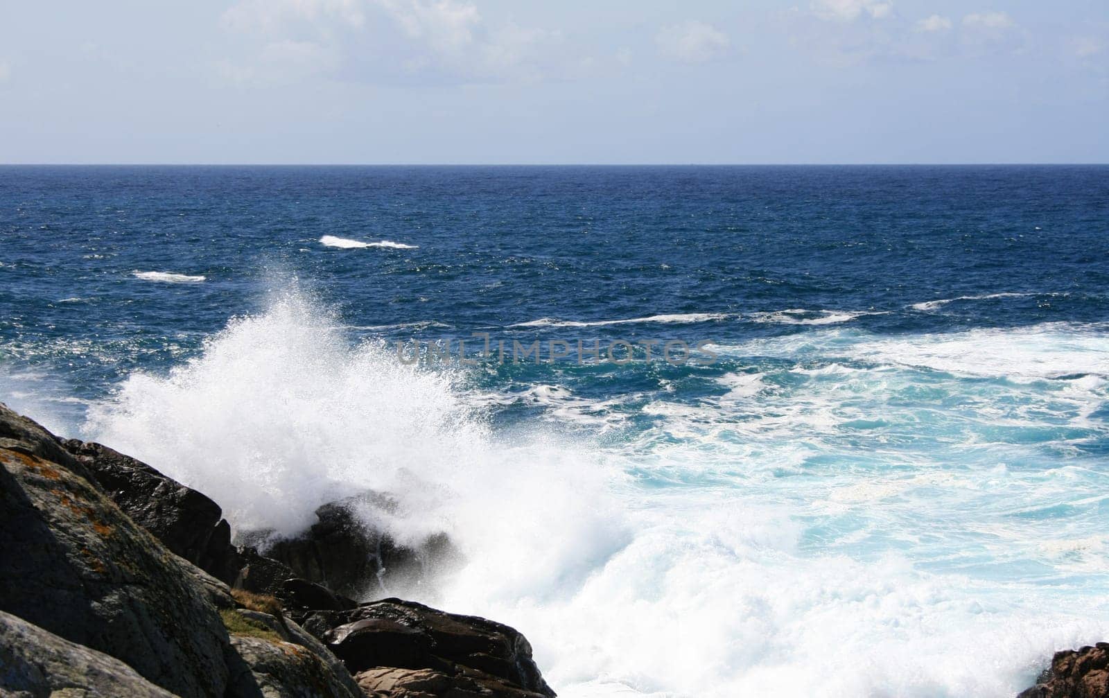 Surf