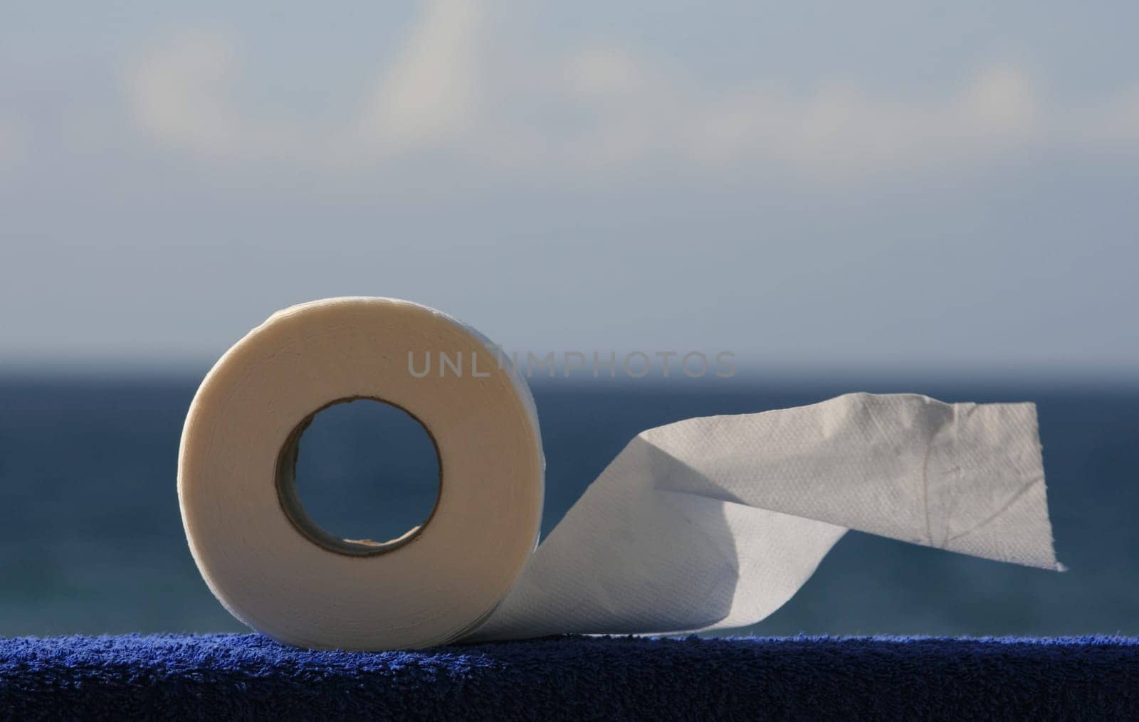 Toilet paper