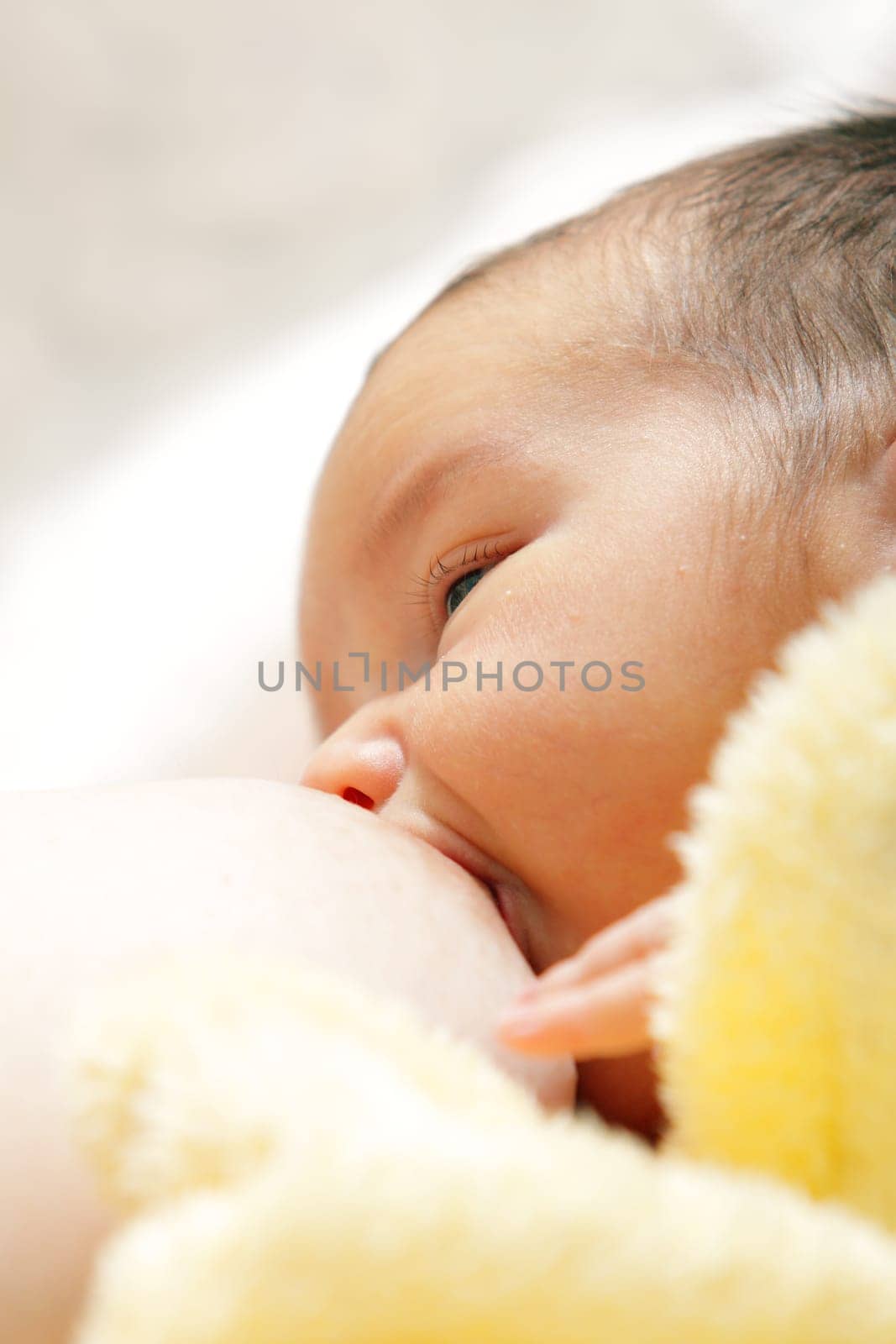 Newborn baby breast feeding breast
