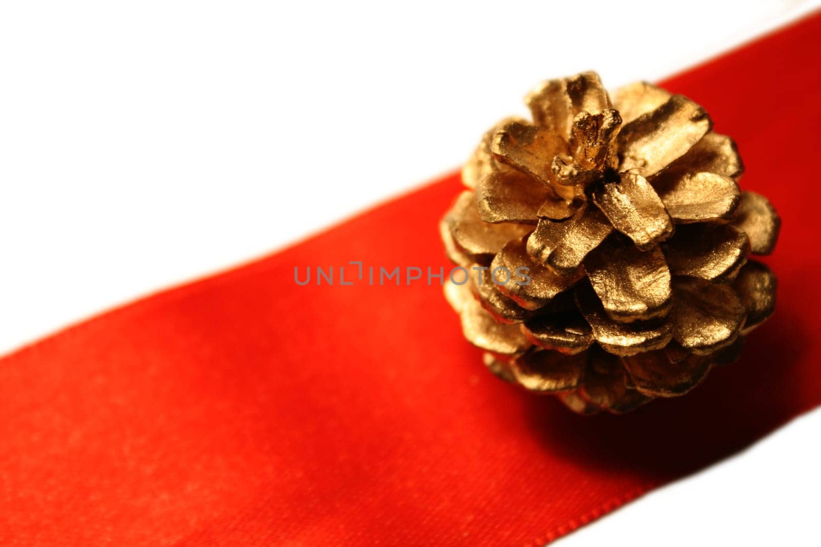 Fir cone