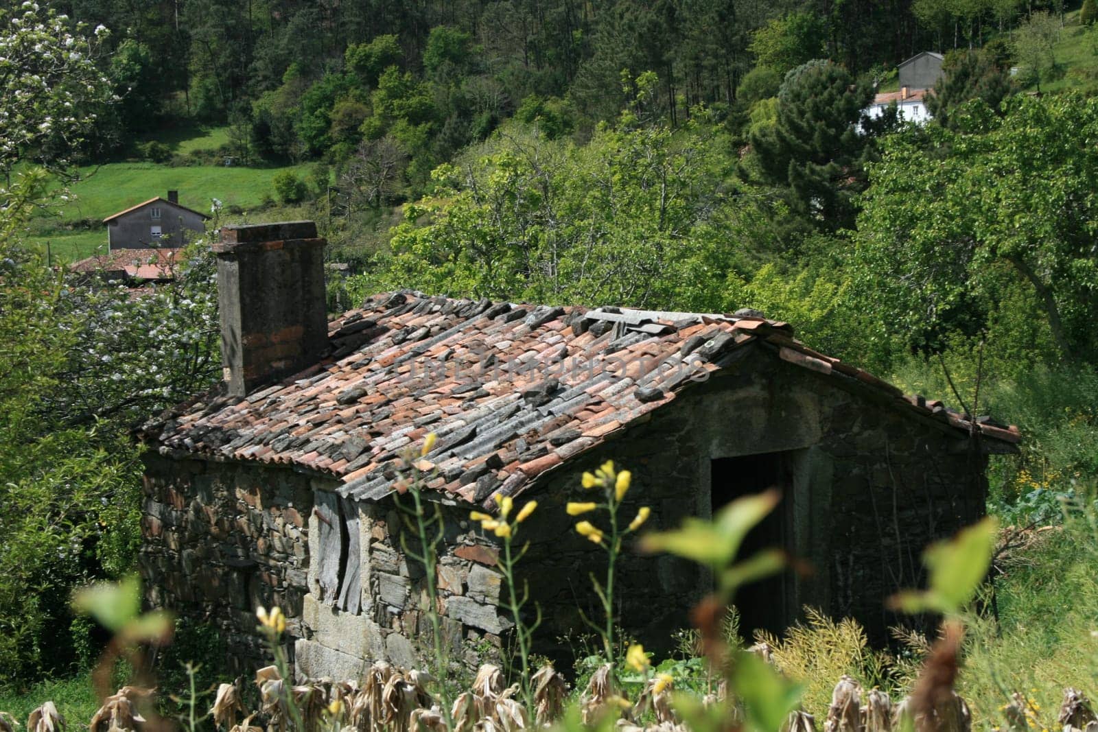 Galicia at the way of St. James,famous european Pilgrims Way