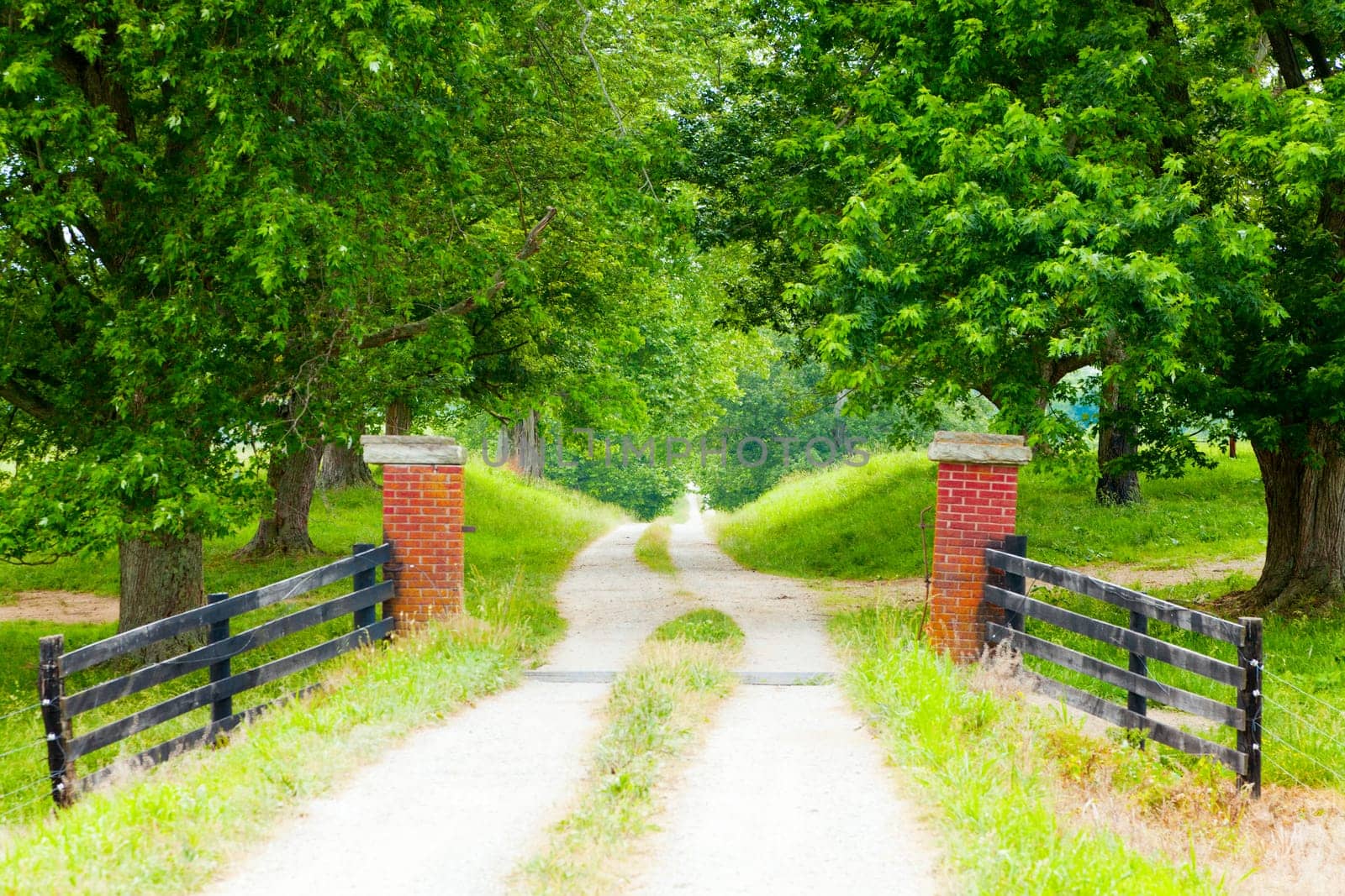 Entrance to a long dirt driveway in the country