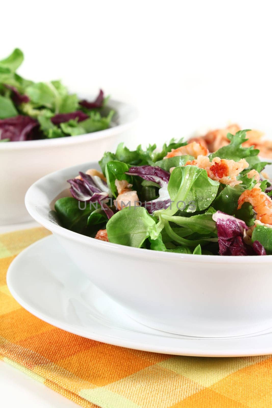 mixed leaf salad with crayfish