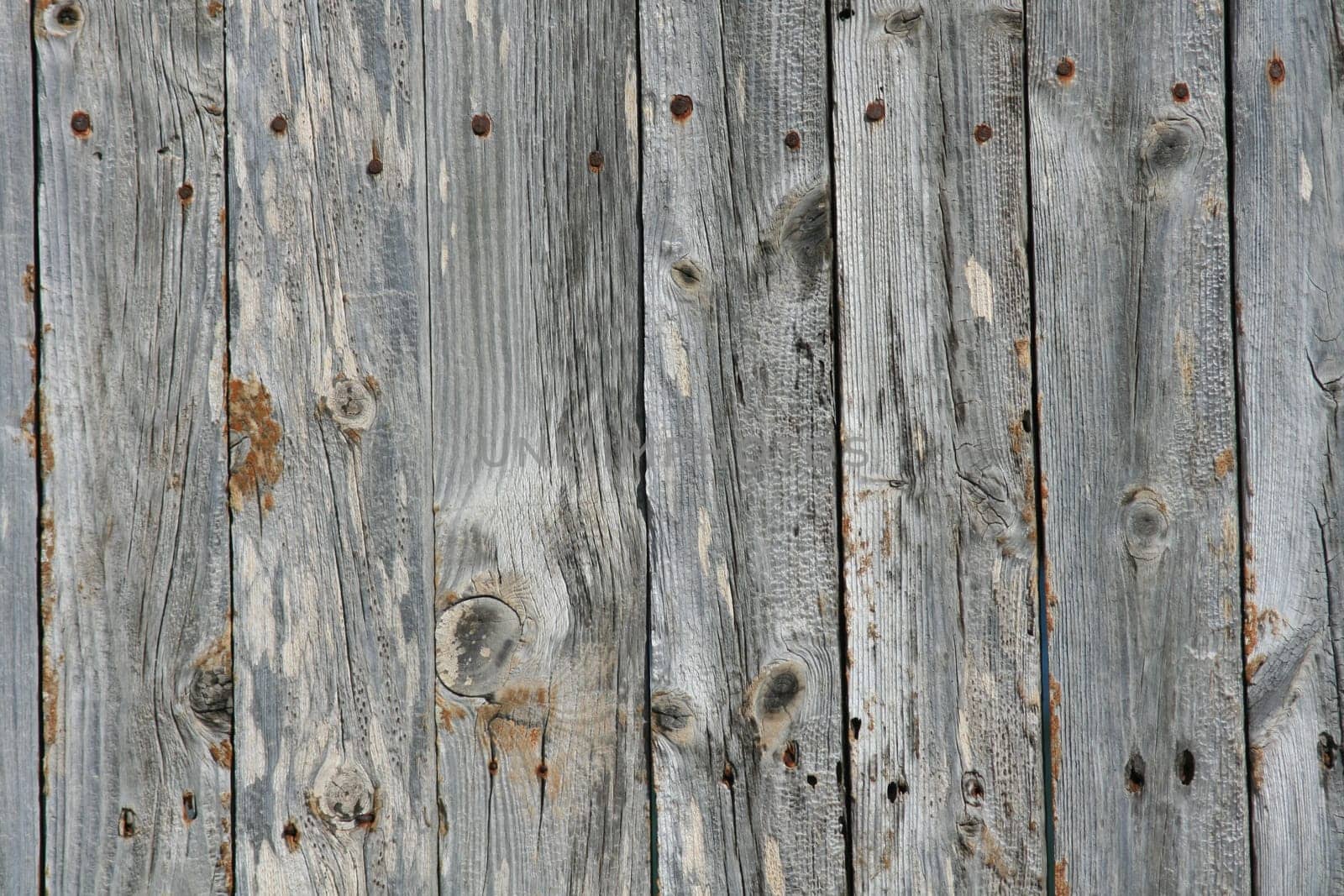 Wood