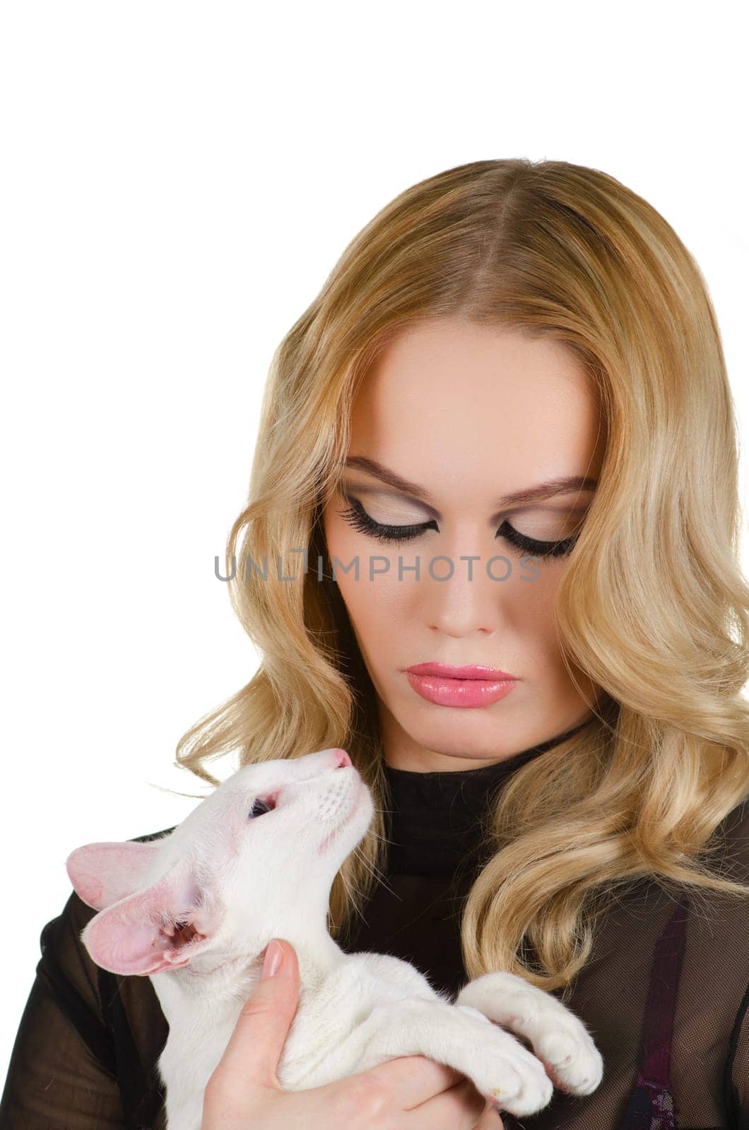 beauty young blond woman with oriental shorthair cat on a white