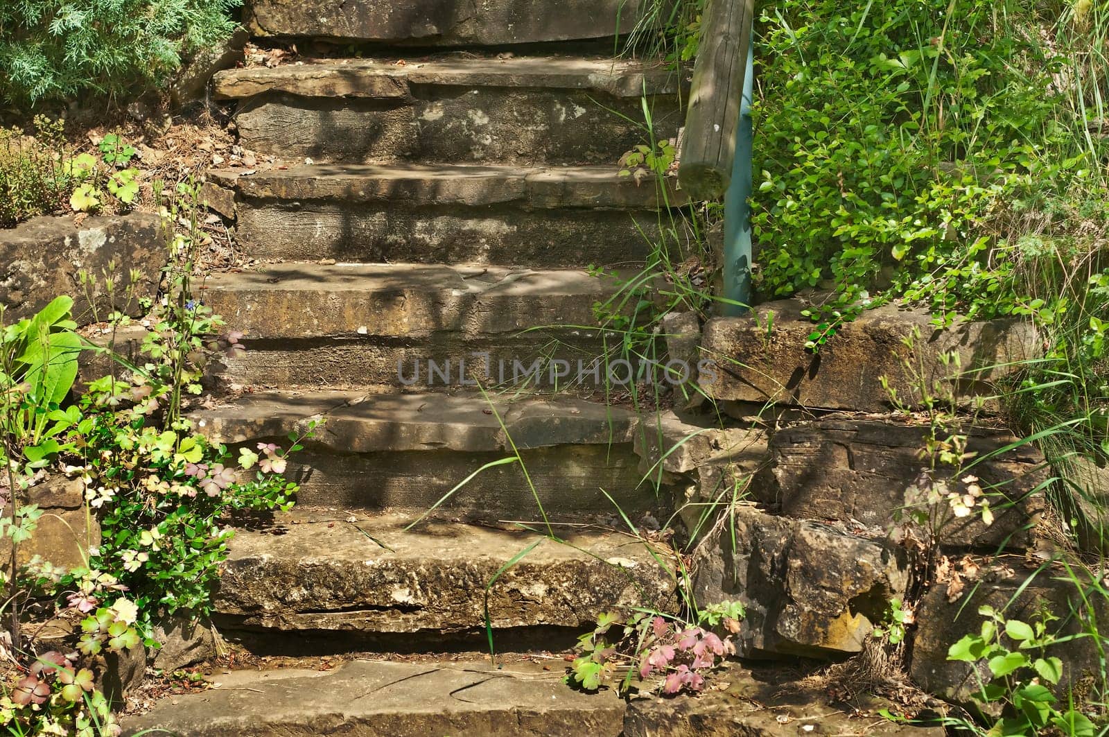 old staircase with flowers