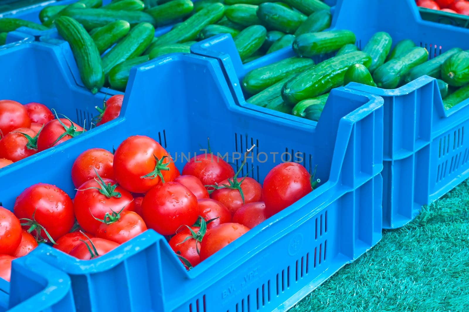 Tomatoes and cucumbers
