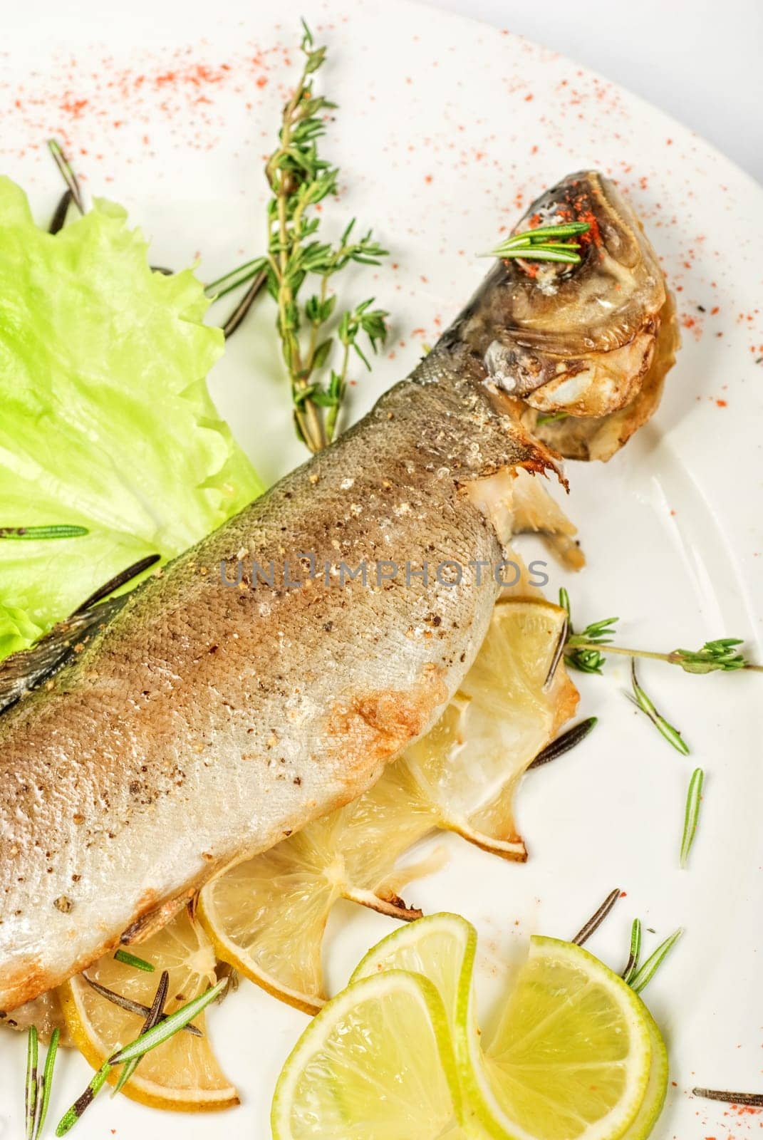 trout fish baked with greens closeup