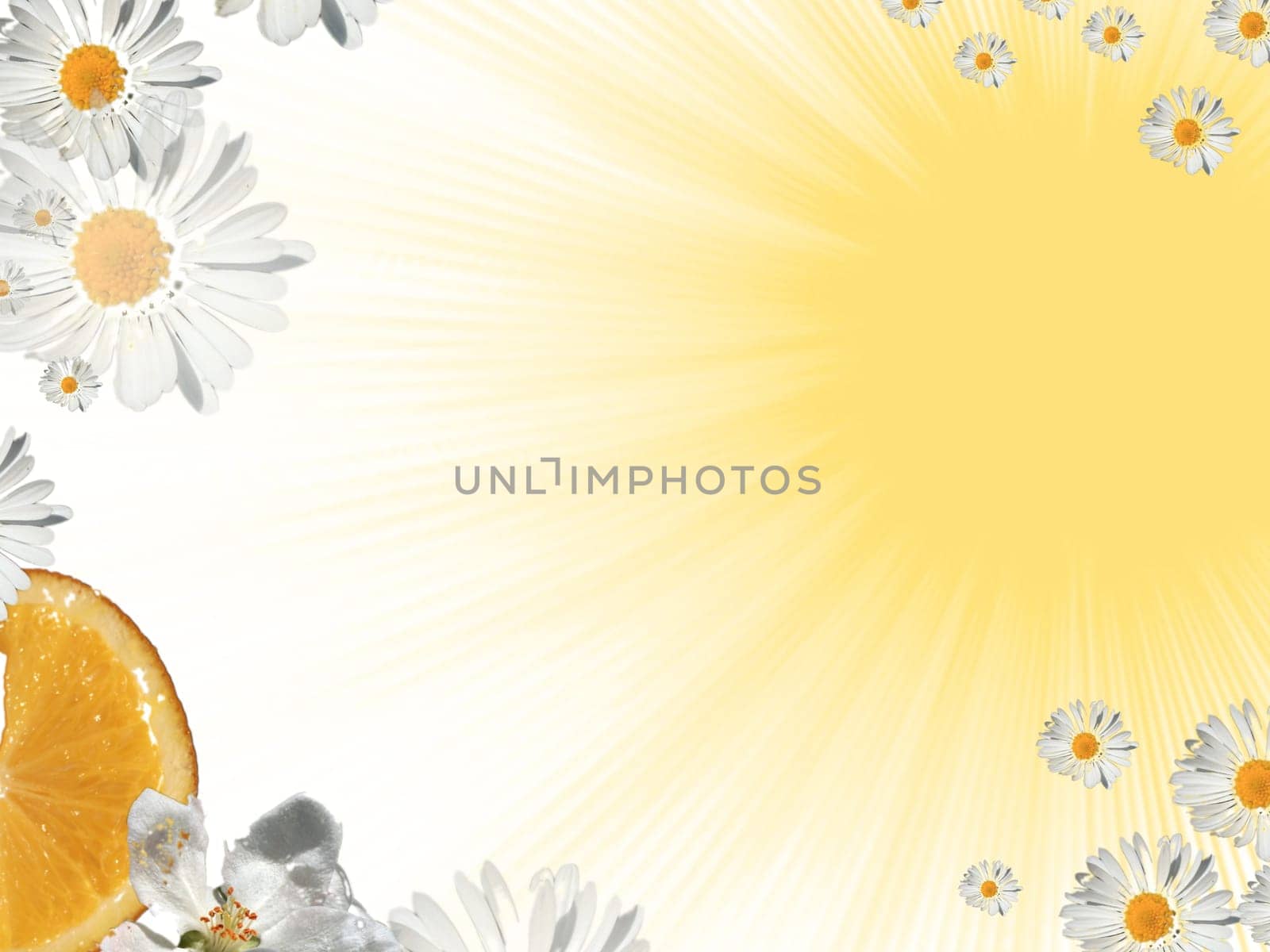 Summer Background