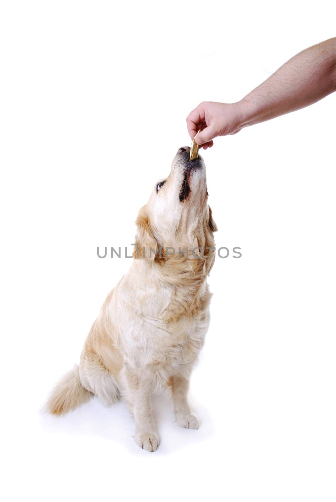Reward