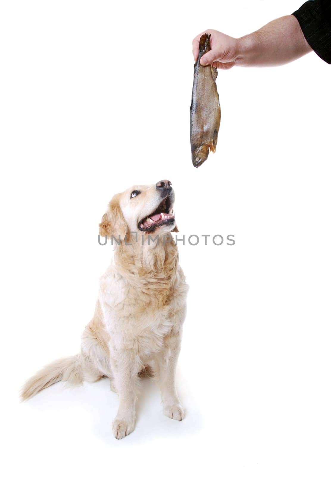Reward