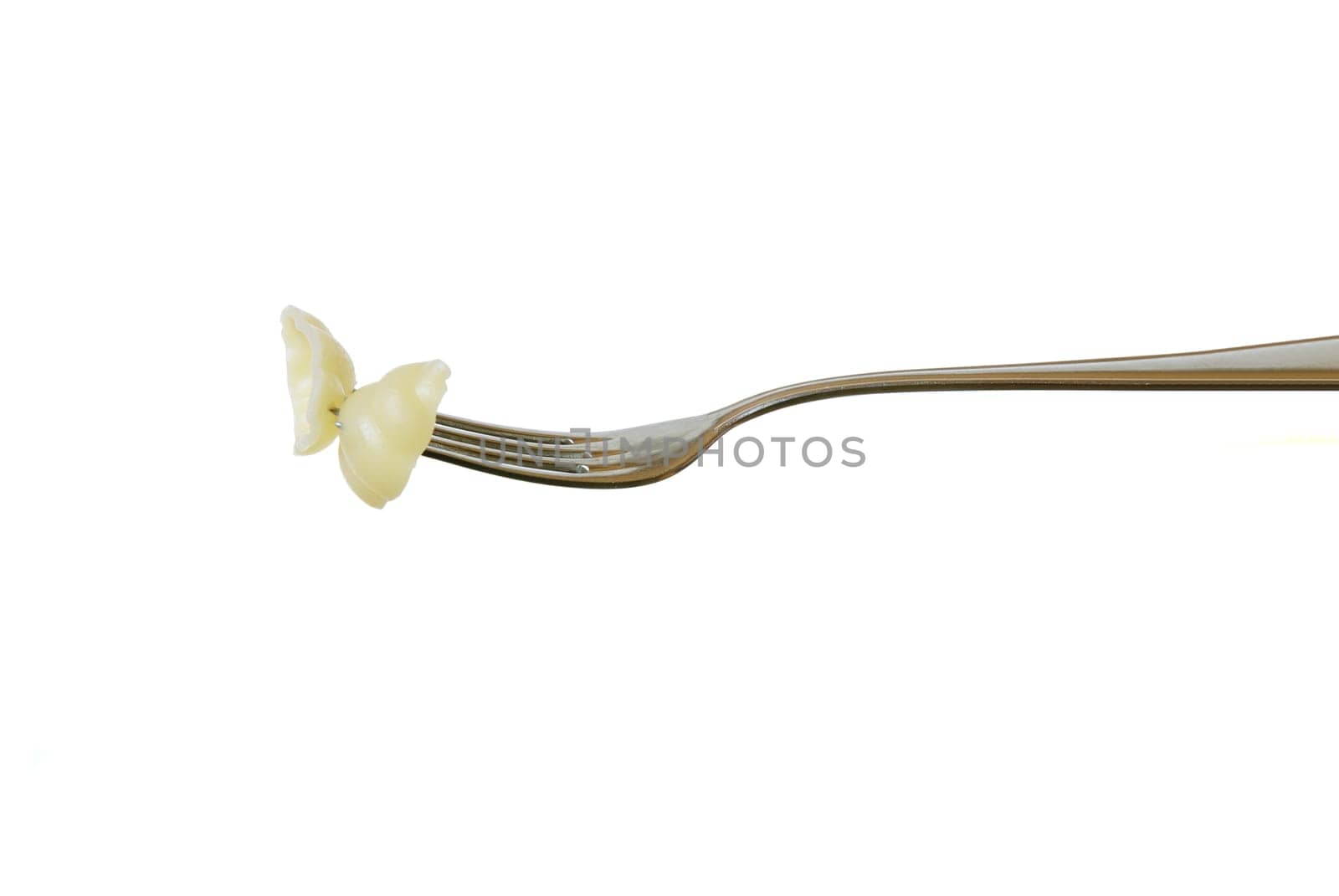 Mussel noodles