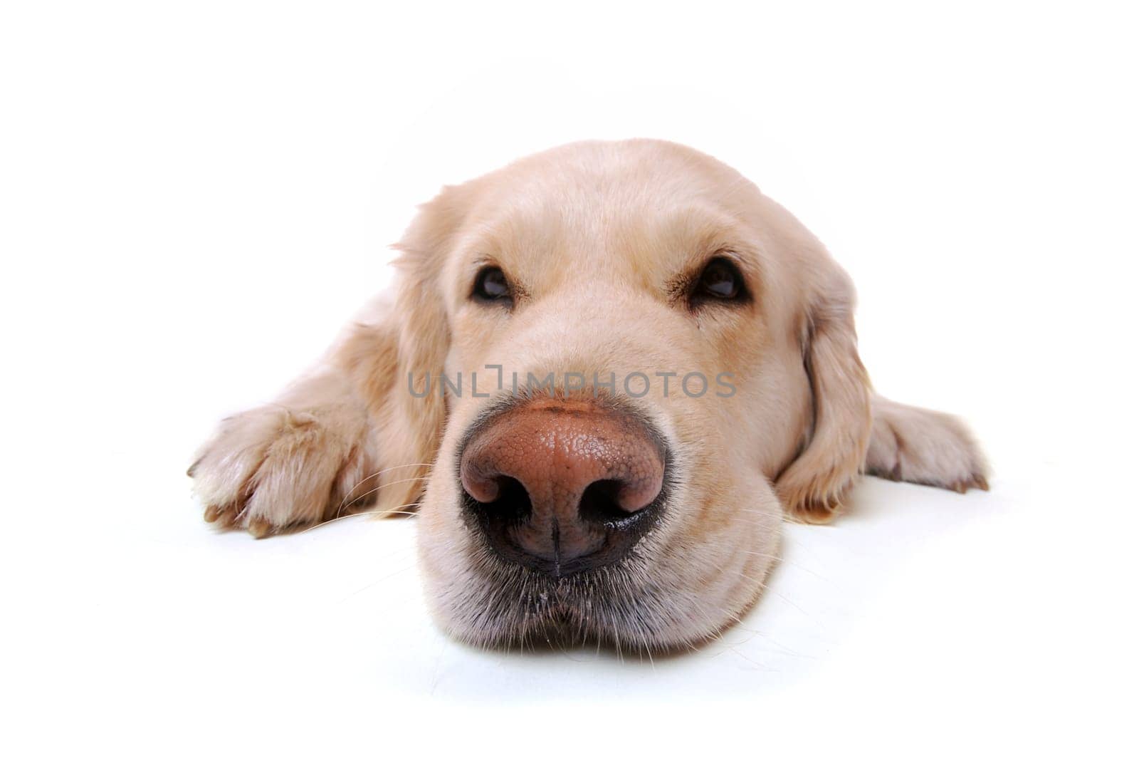 Tired
