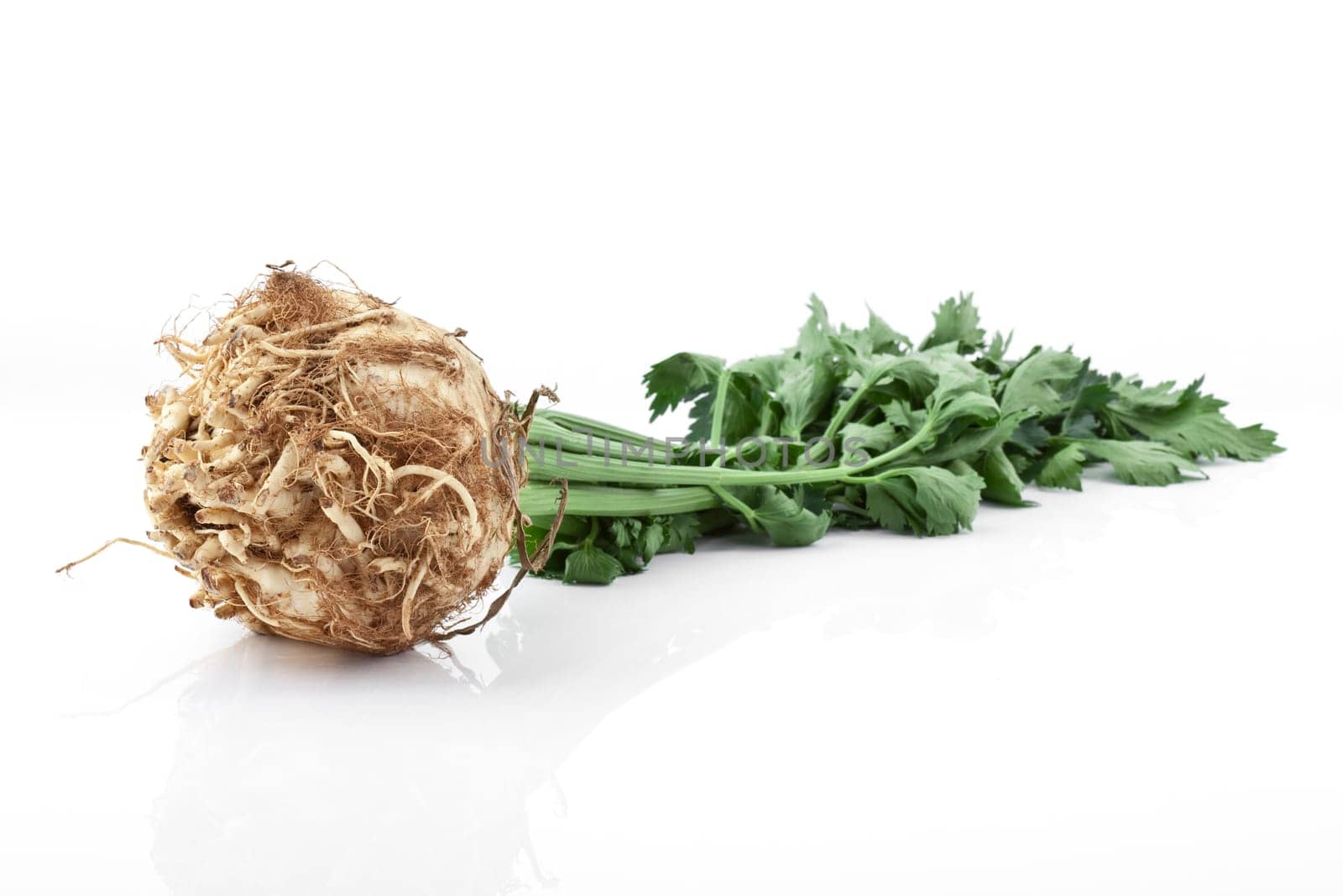 Celery