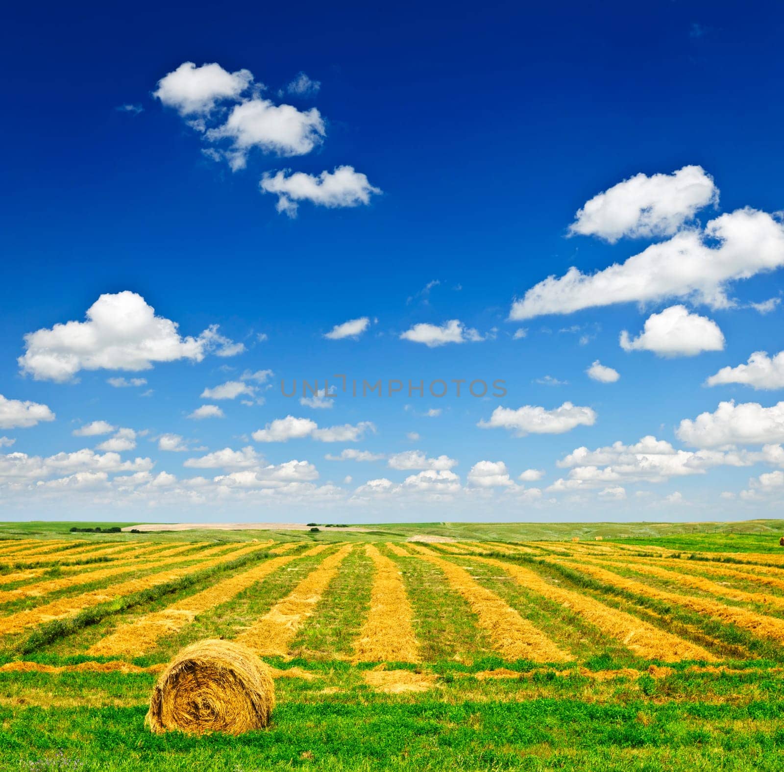 Harvested wheat on farm field with hay bale in Saskatchewan, Canada