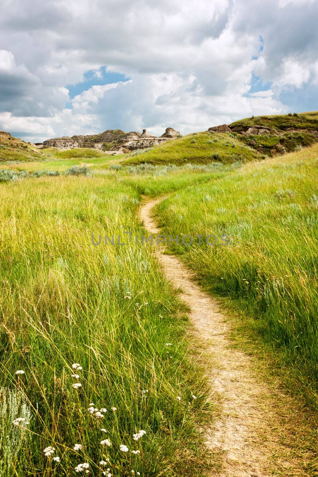 Hiking trail through Badlands in Dinosaur provincial park, Alberta, Canada