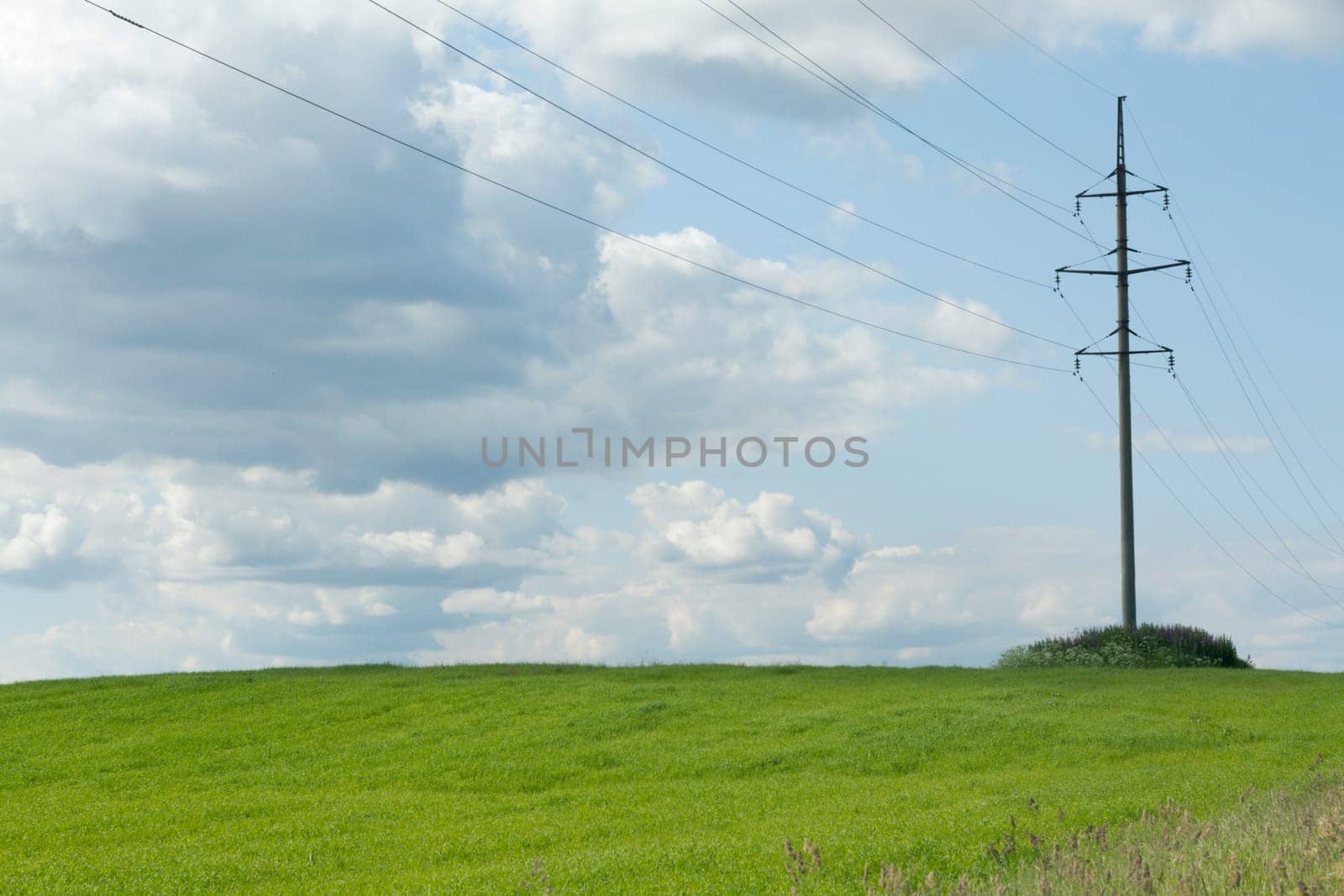 High-tension poles on background clouds and green herb