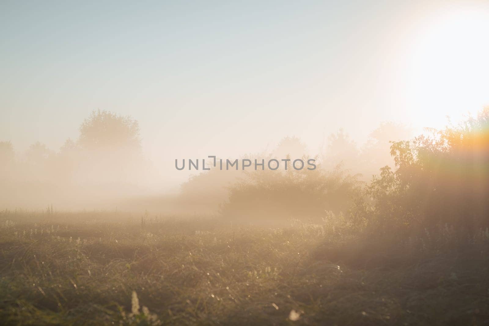 Misty morning in countryside field by VitaliiPetrushenko