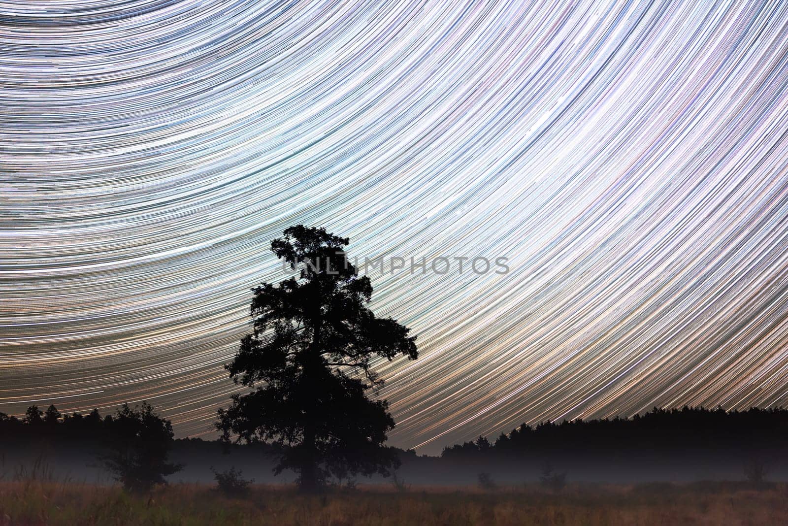 Bright night image of long startrails above misty valley and a tree