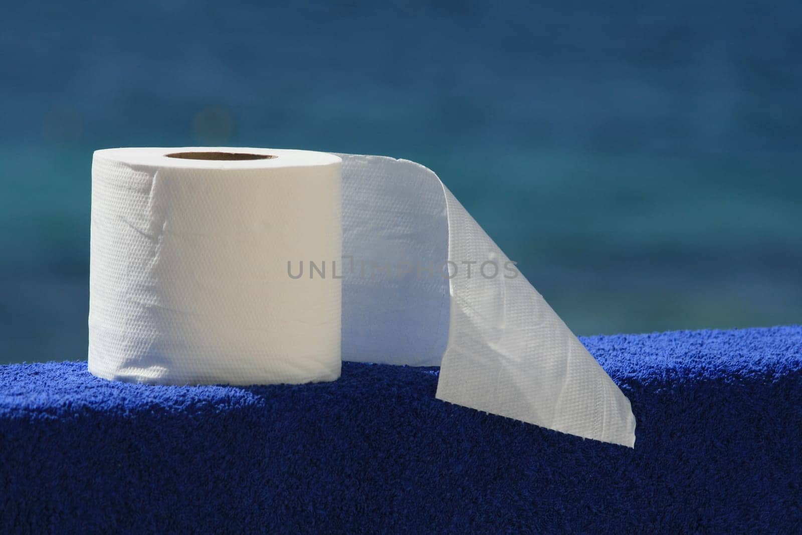 Toilet paper