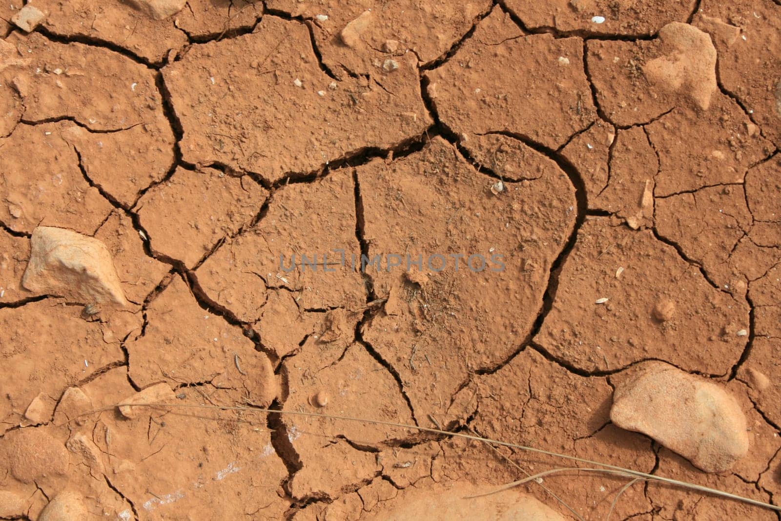 parched