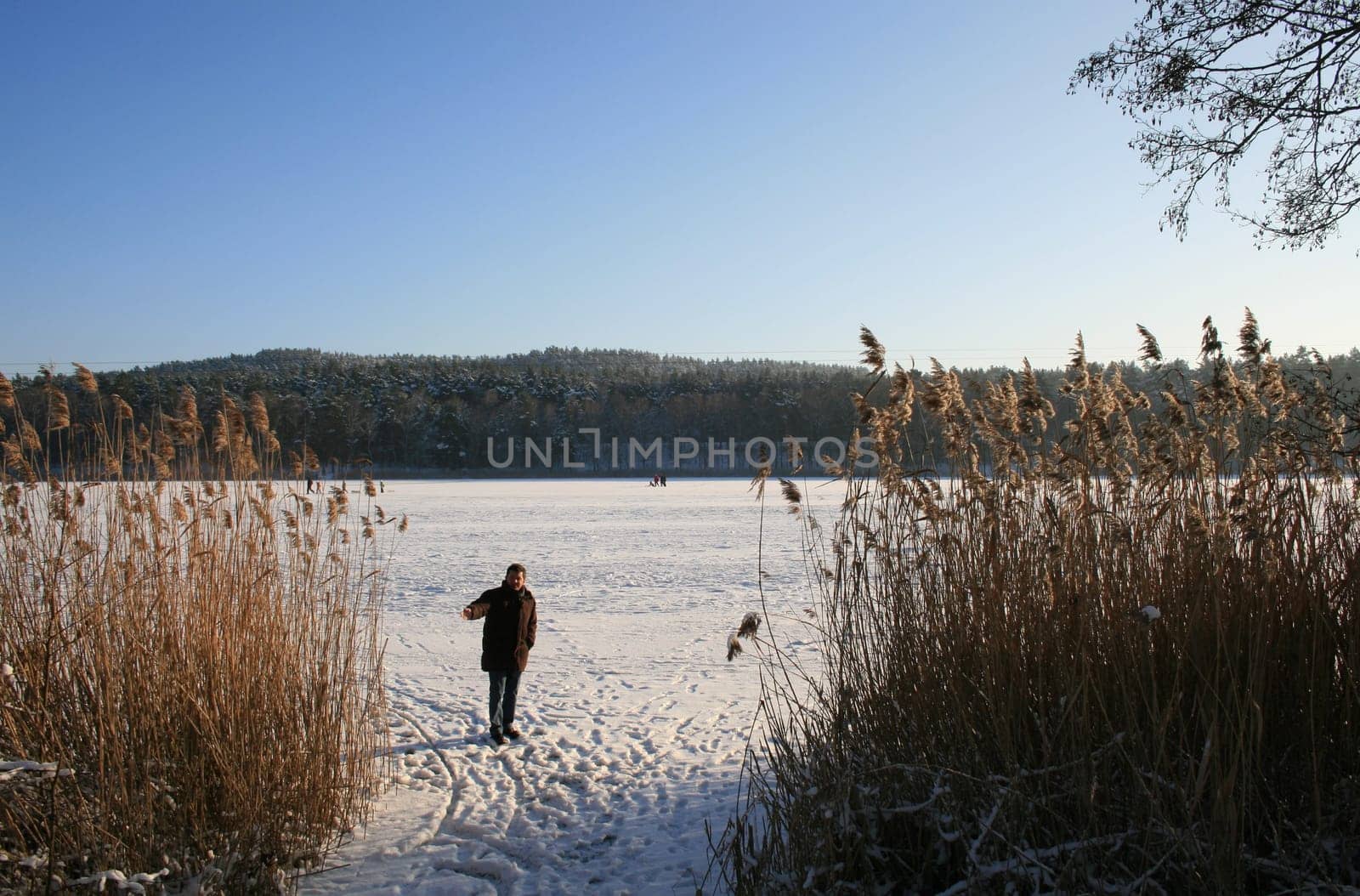 Winter at the lake