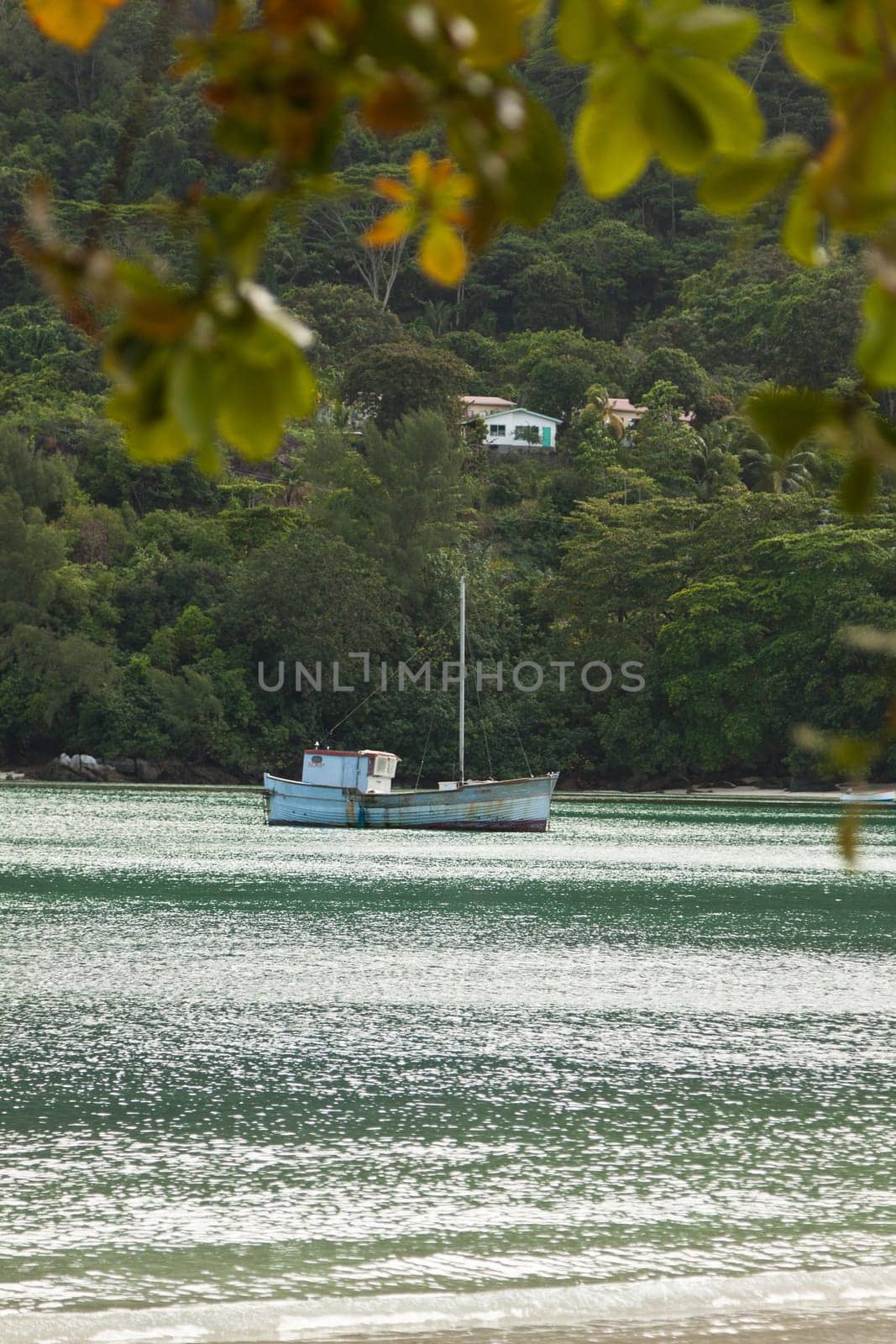 at the noth beach